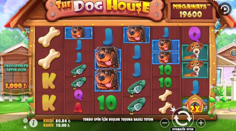 Dog House Megaways slot oyunu